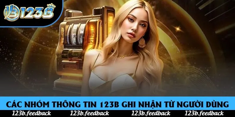 Các nhóm thông tin 123B ghi nhận từ người dùng