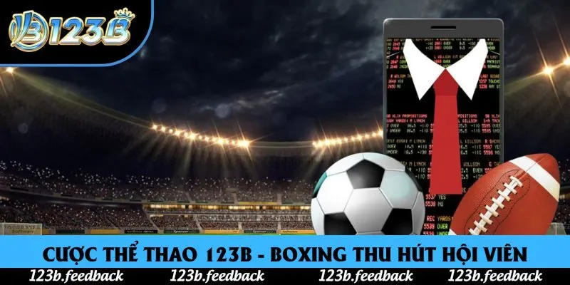 Cược thể thao 123B - Boxing thu hút nhiều hội viên