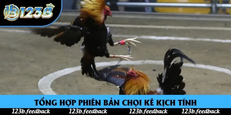 Tổng hợp phiên bản chọi kê kịch tính