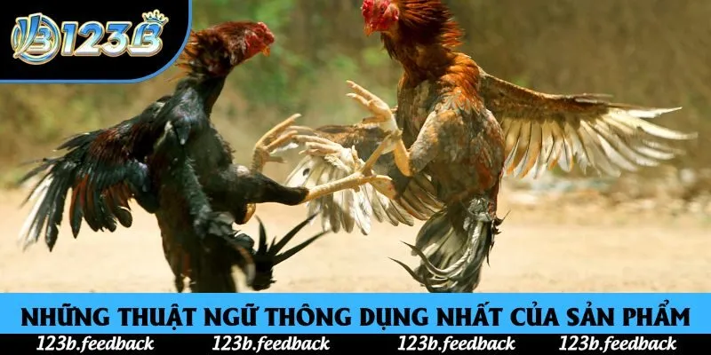 Những thuật ngữ thông dụng nhất của sản phẩm