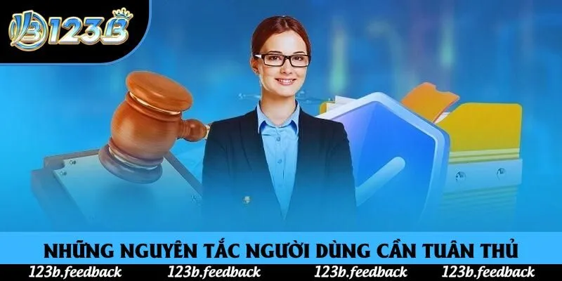 Những nguyên tắc người dùng cần tuân thủ