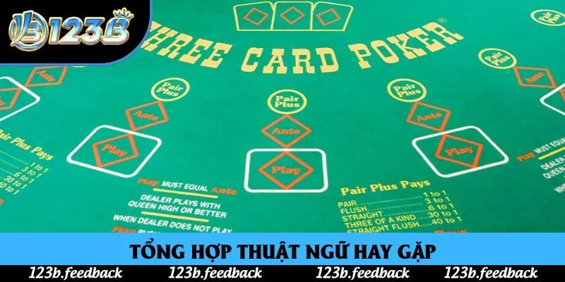 Tổng hợp thuật ngữ hay gặp